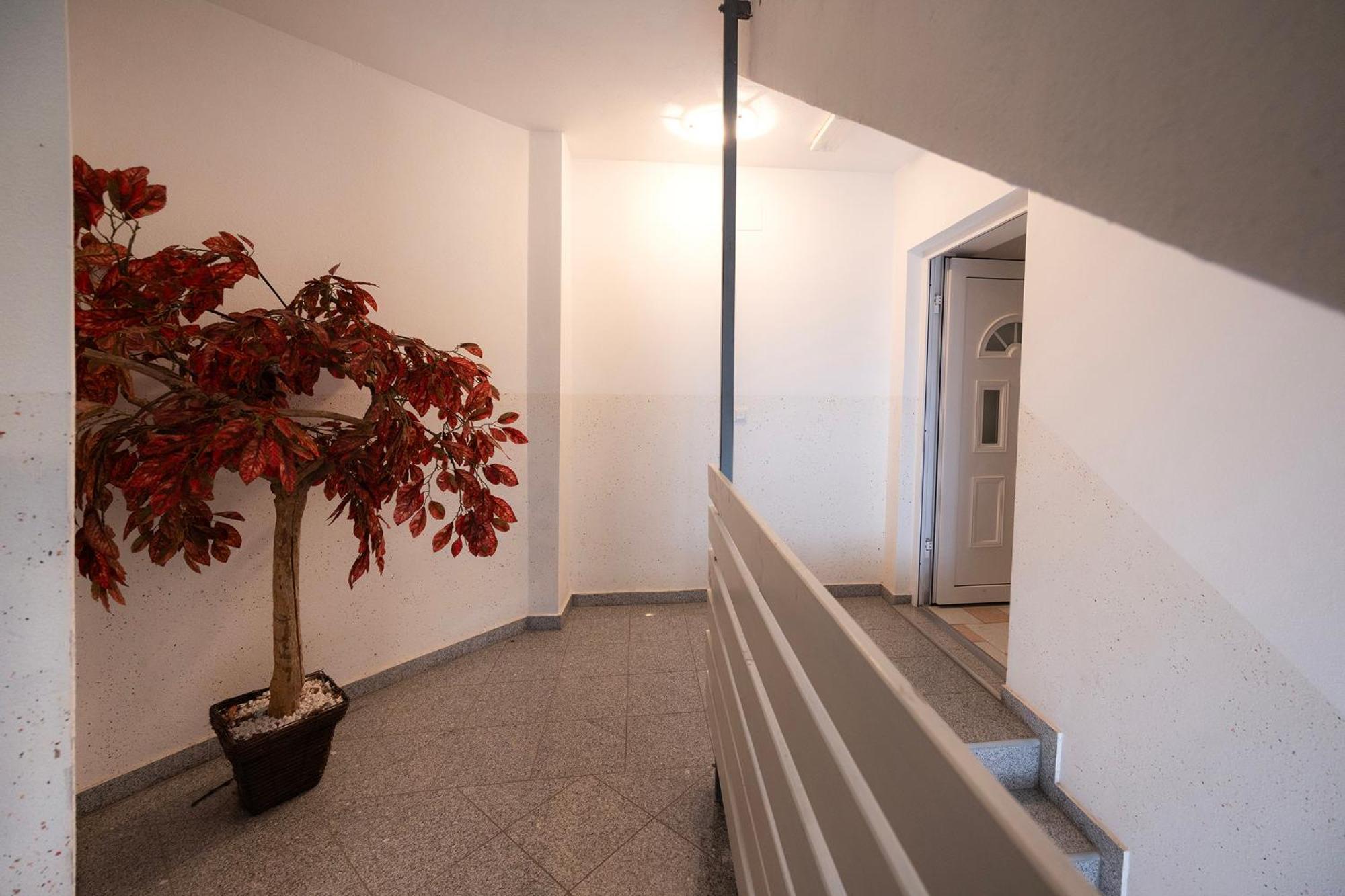 Grom Ribno Apartments Bled Exterior foto